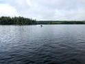 august2020-BranchLakeMaine-IMG_0118 