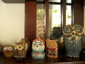 owls-teapots-4595 