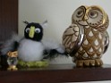 owls-teapots-4699 