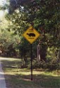 sanibel_Island-Nov98-013 