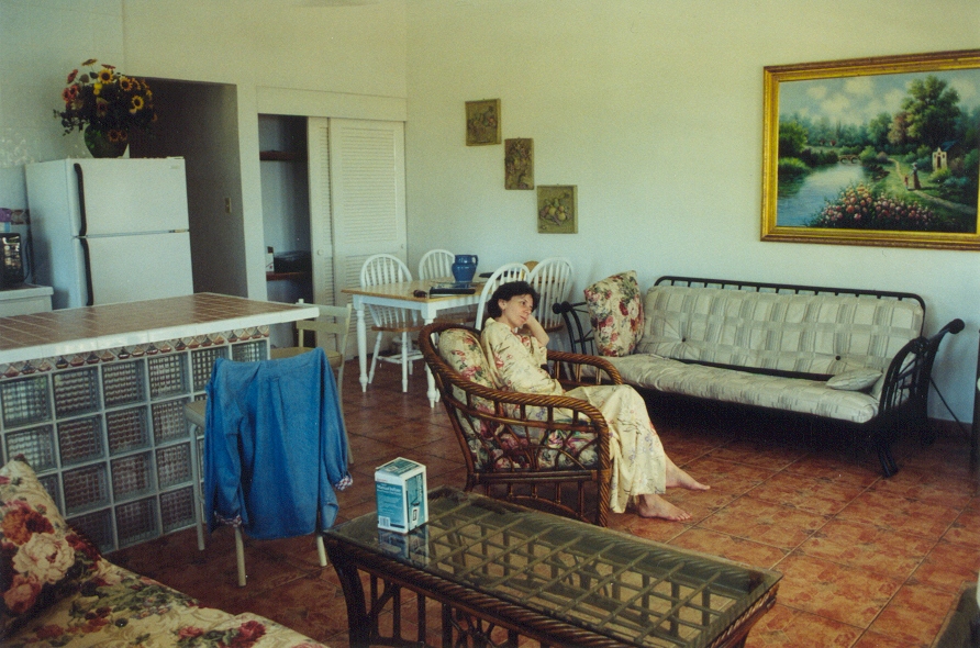 living-room
