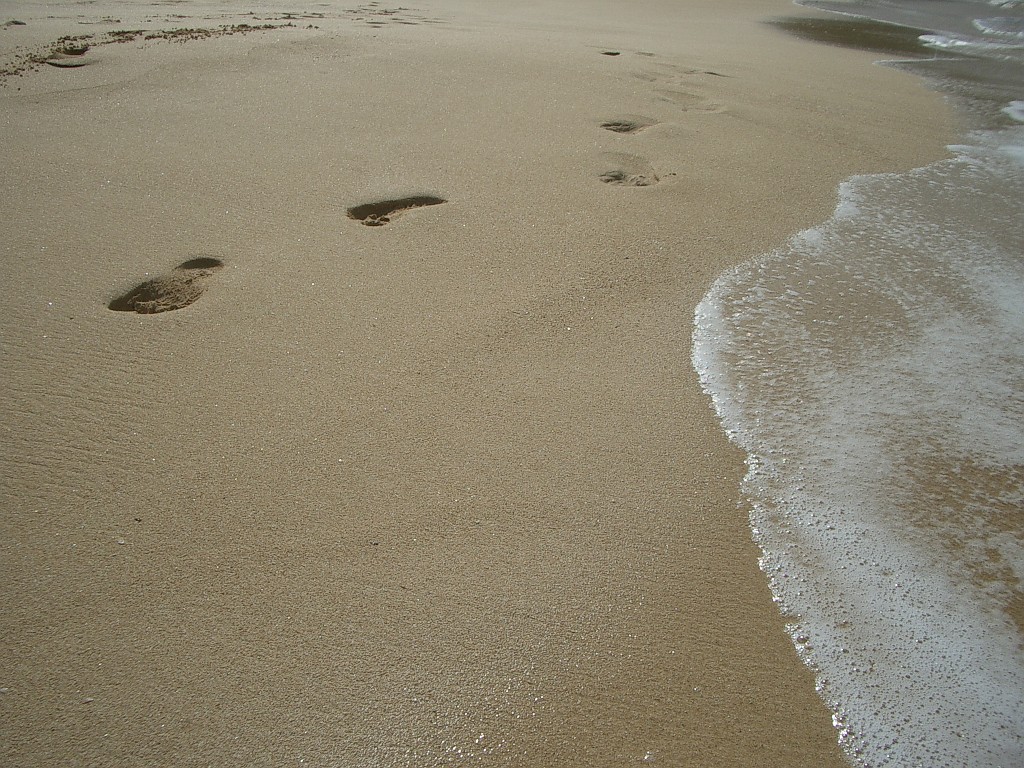 IMGP1258