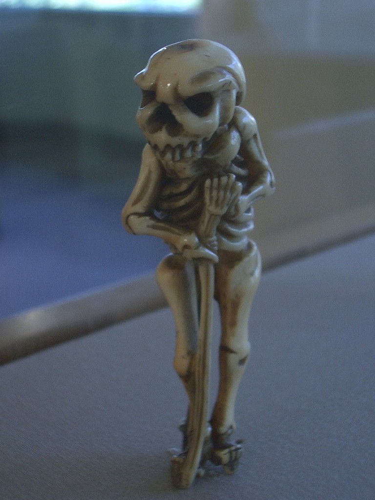 IMGP2577