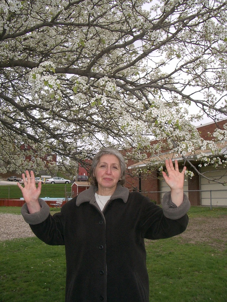 IMGP3203