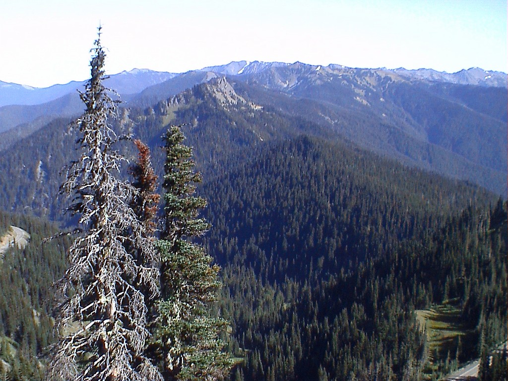 DVC00025