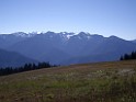 Olympic National Park