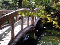 Northwest2007-Victoria-0992 Japanese garden