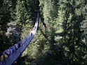 Northwest2007-Vancouver-0782 Capilano suspended bridge