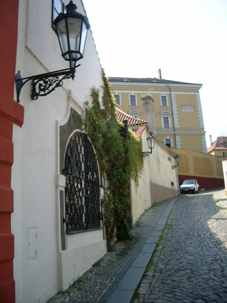 IMGP4889