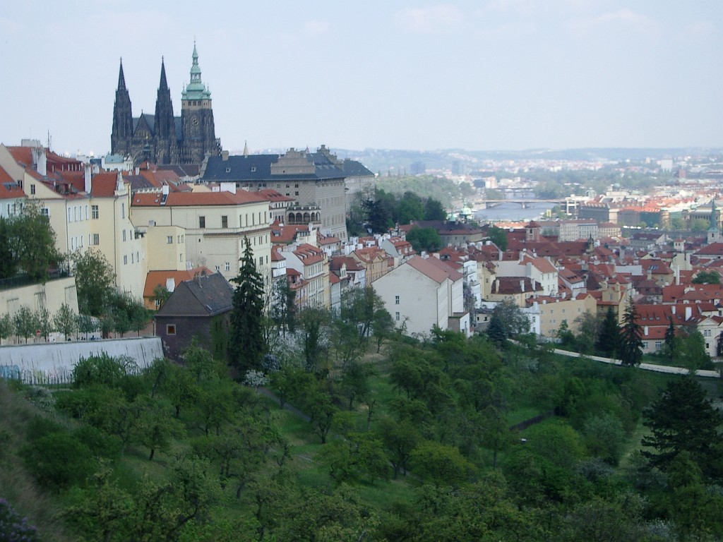 IMGP4912