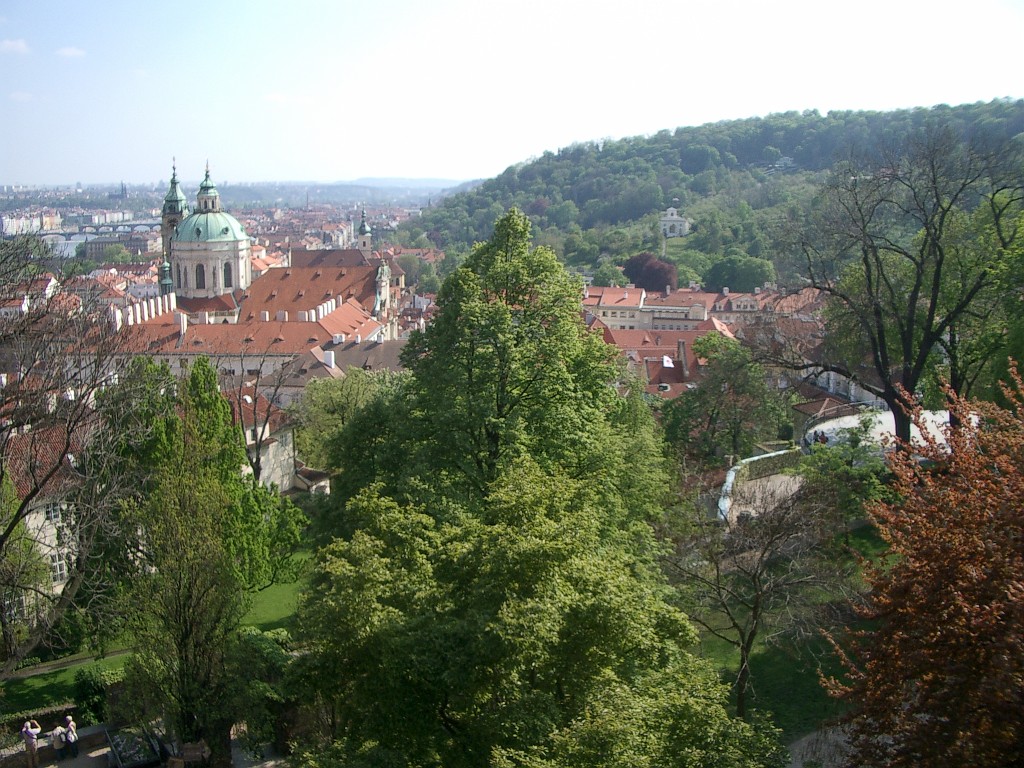 IMGP4950