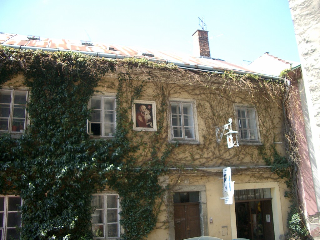 IMGP5016