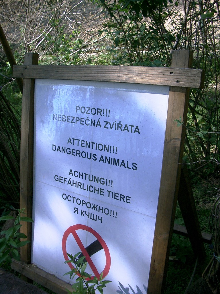 IMGP5059