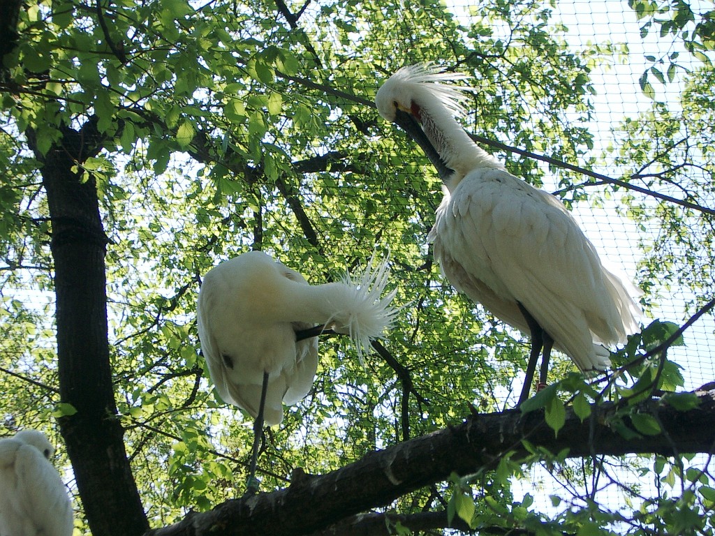 IMGP5069
