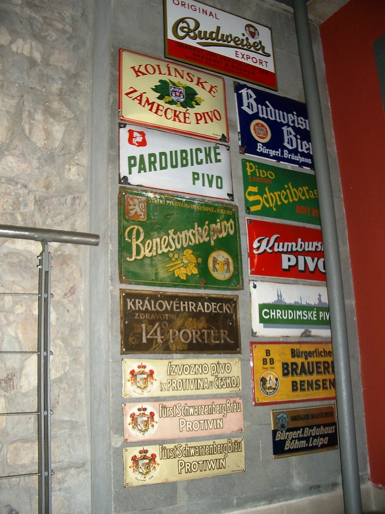 IMGP5163