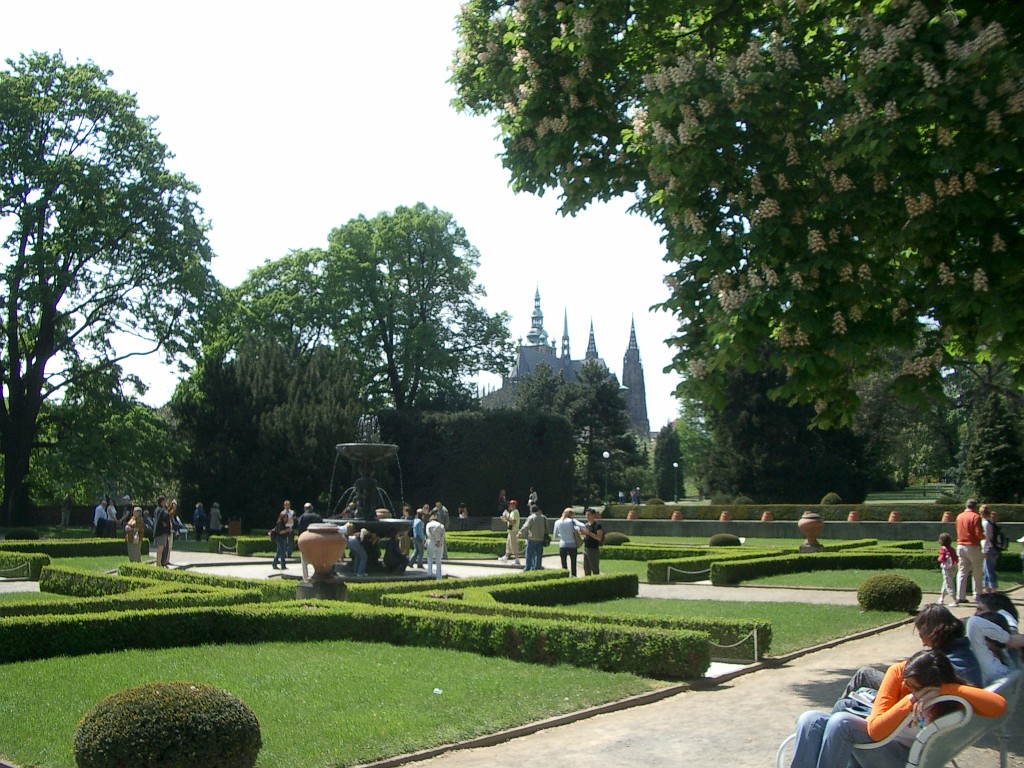 IMGP5167