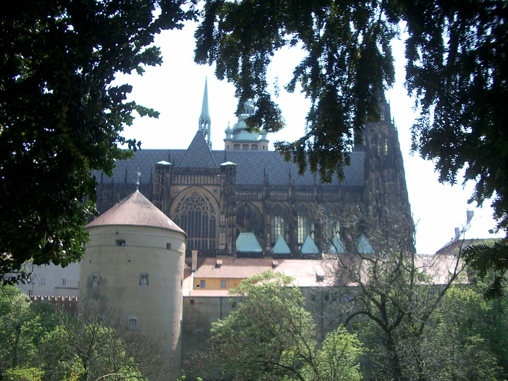 IMGP5180