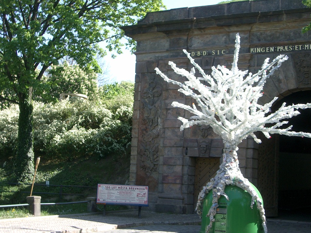 IMGP5191