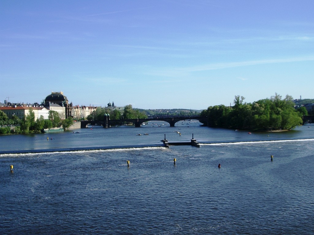 IMGP5205