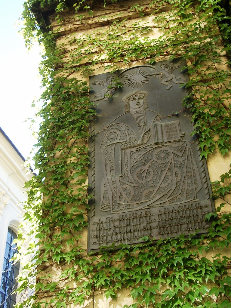 IMGP5209