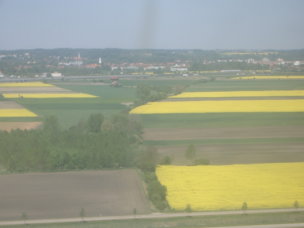 IMGP5231