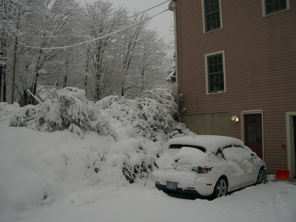 spring2007-4561