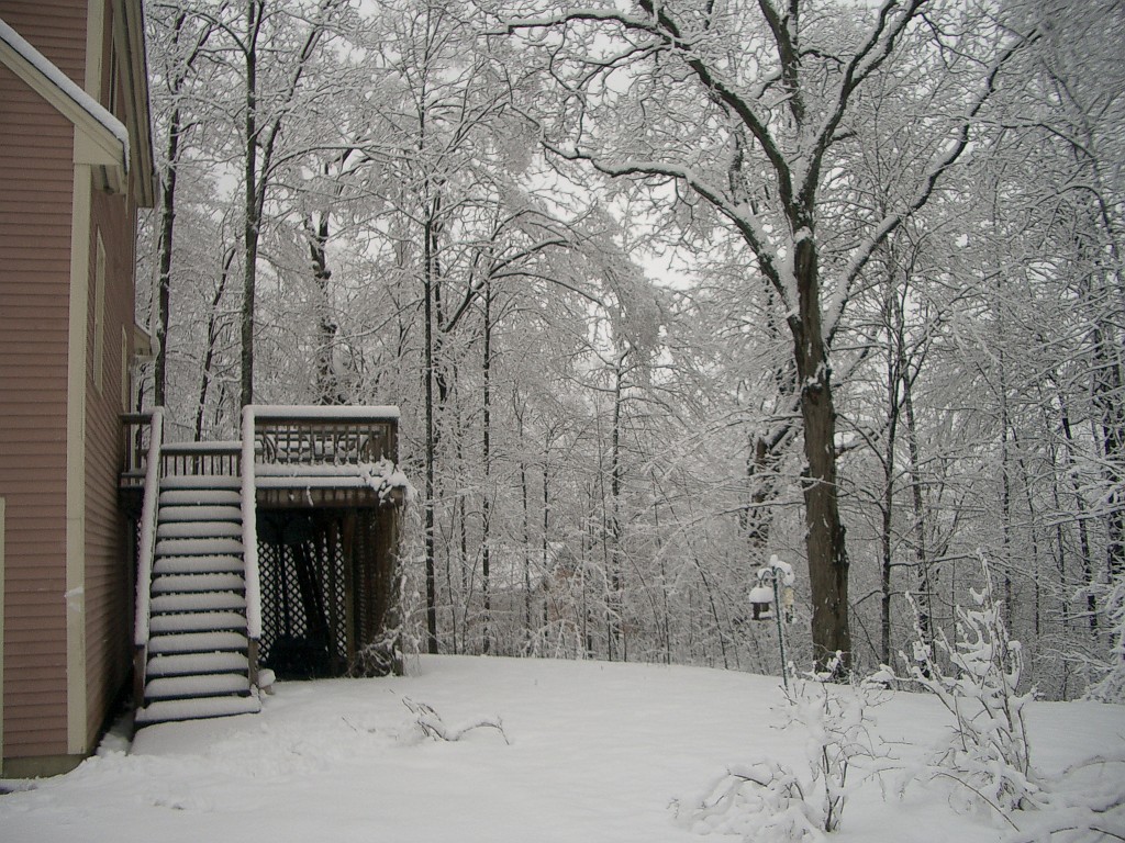 spring2007-4562