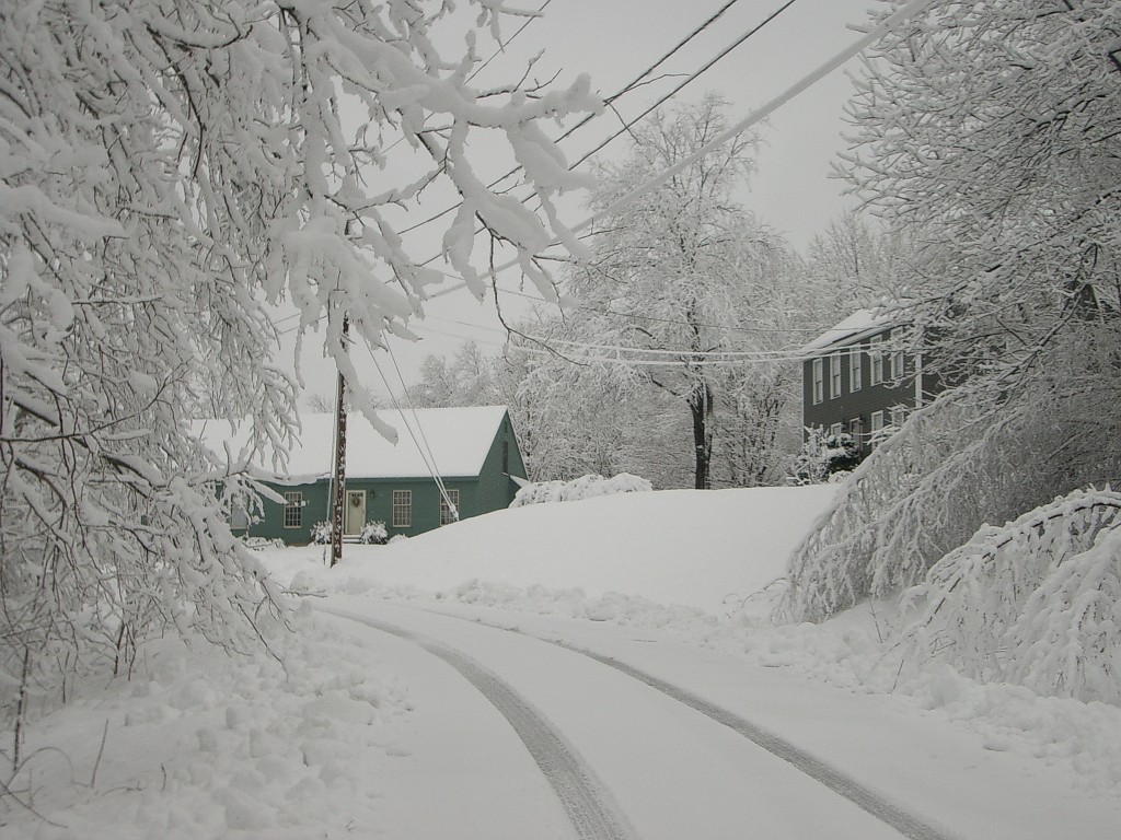 spring2007-4567