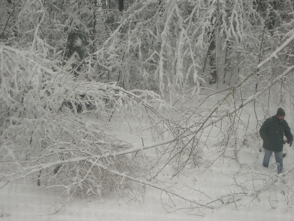 spring2007-4578