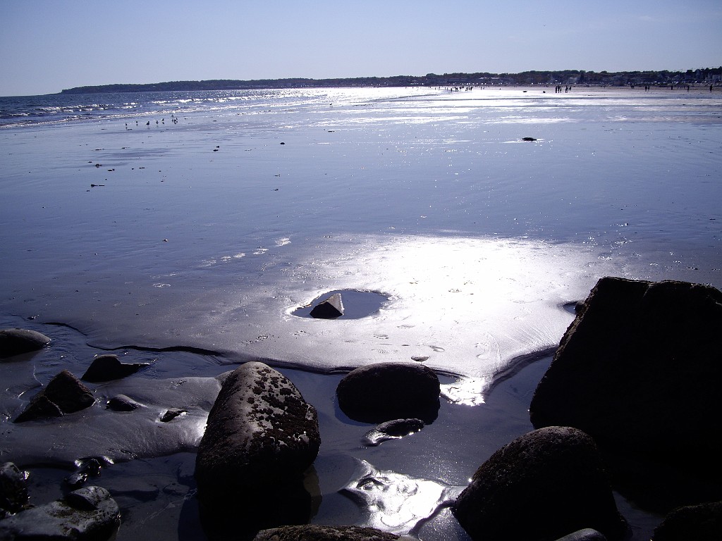 autumn2008-7029
