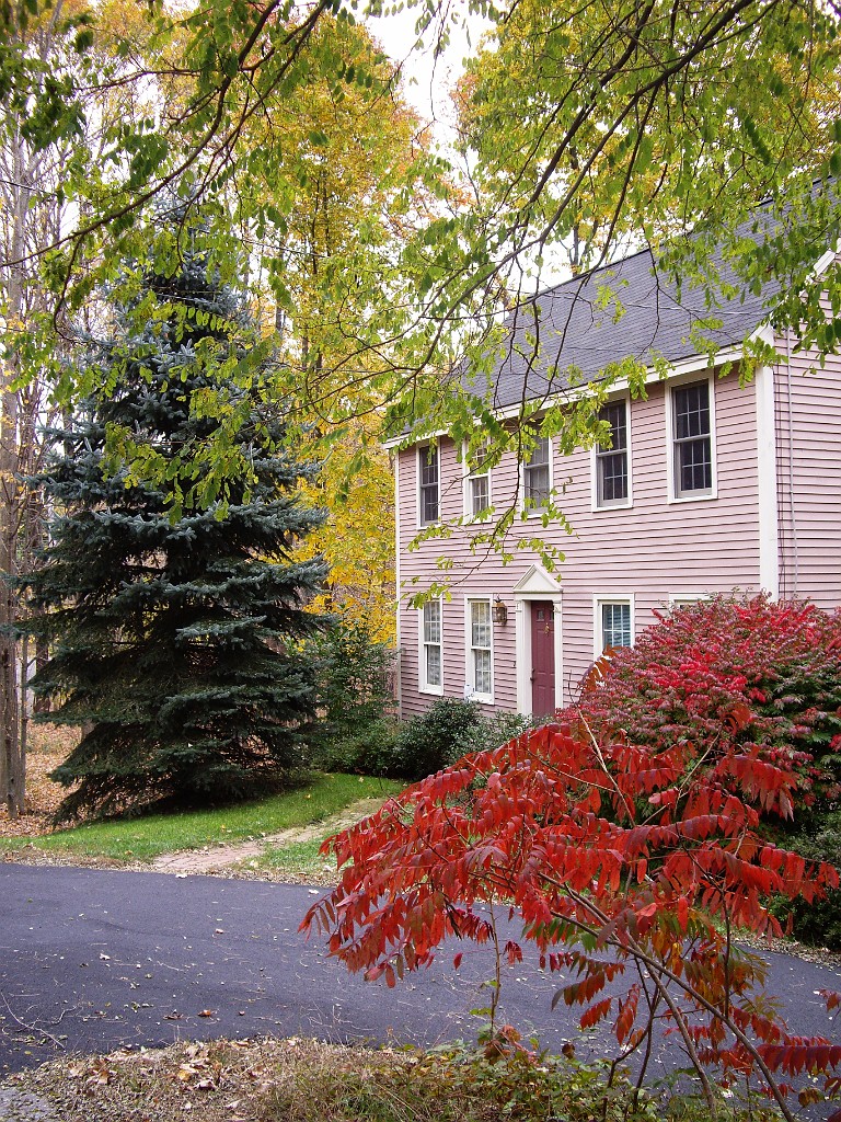 autumn2008-7041