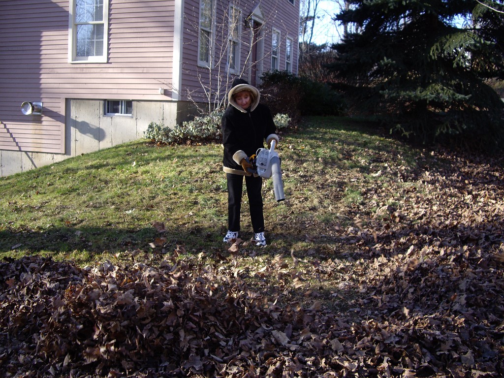 autumn2008-7571