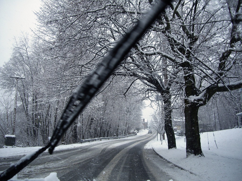 spring2008-6665