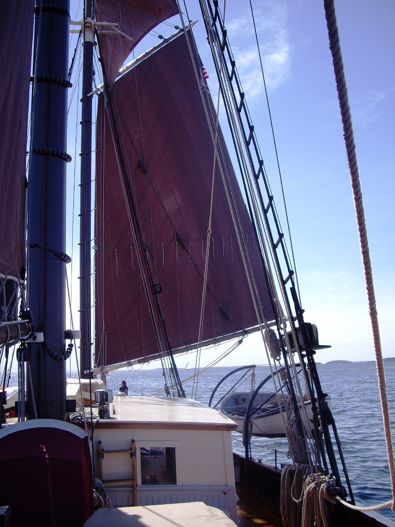 angelique2009-8977