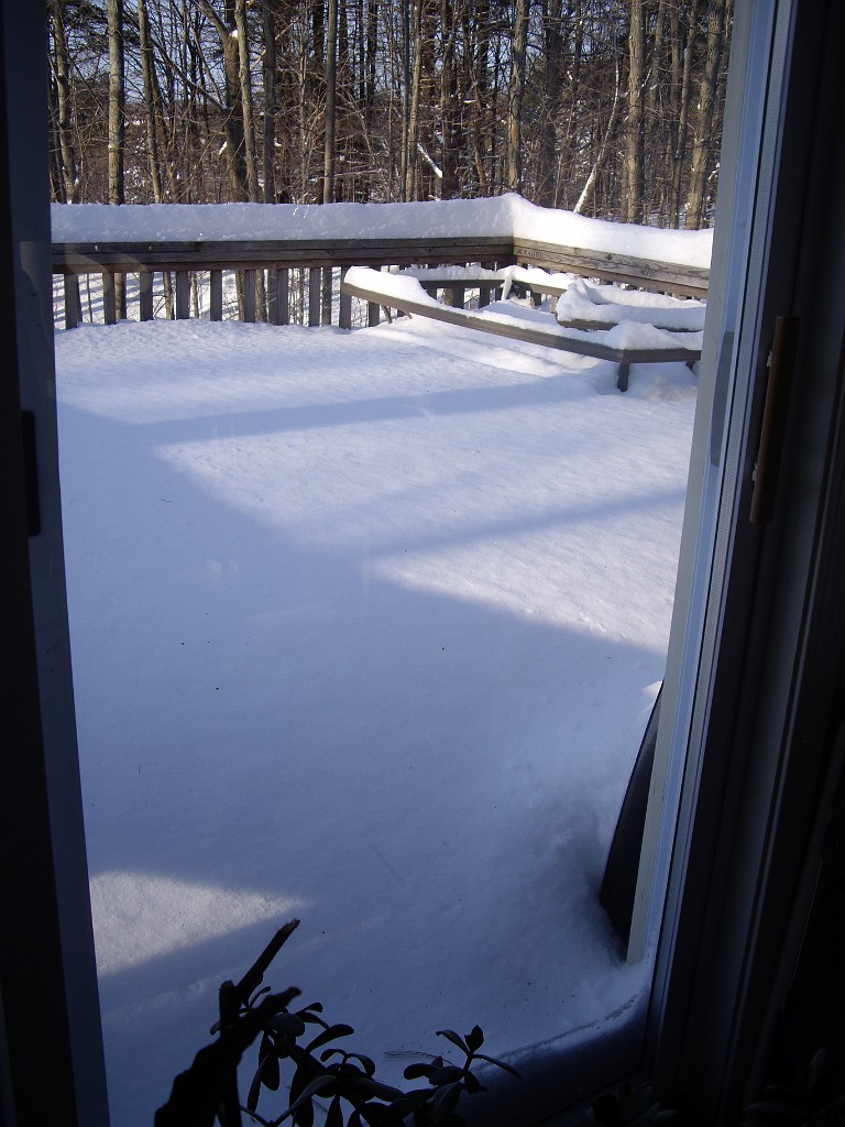 winter2009-7636