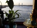 spring2009-8078 