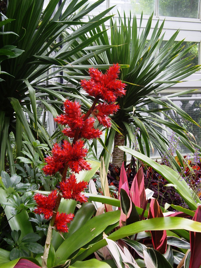 spring2009-8136