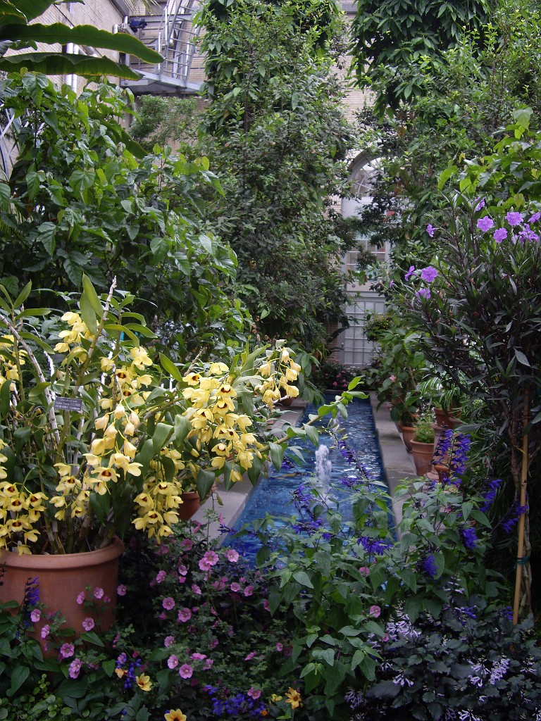 spring2009-8175