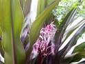 spring2009-8135 