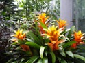 spring2009-8137 
