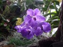spring2009-8138 