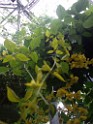 spring2009-8172 
