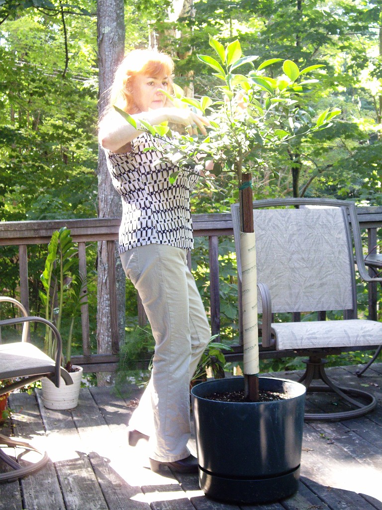 summer2009-8845