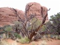 UT2009-Arches-8531 