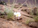 UT2009-Arches-8572 