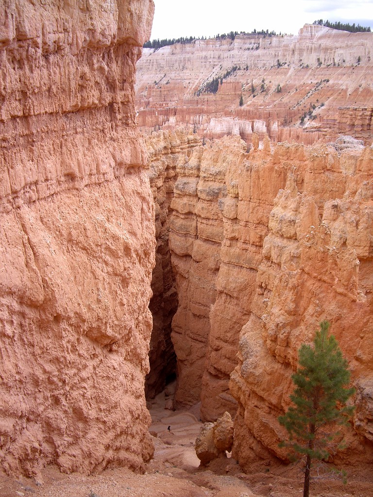 UT2009-Bryce-8452