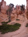 UT2009-Bryce-8438 