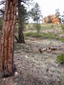 UT2009-Bryce-8444