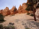 UT2009-Bryce-8445 