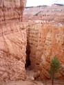 UT2009-Bryce-8452 